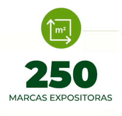 Grupo-2848-300x287